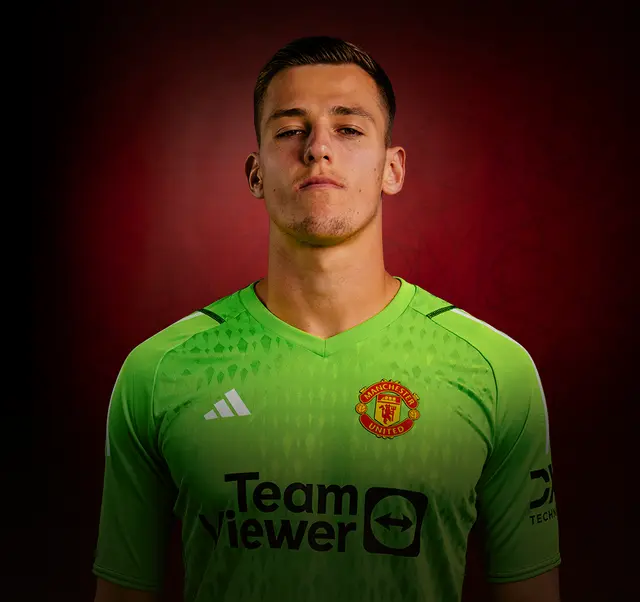 Radek Vitek